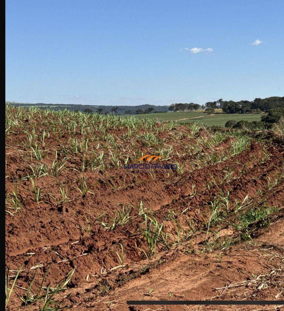 Fazenda, 605 hectares - Foto 3