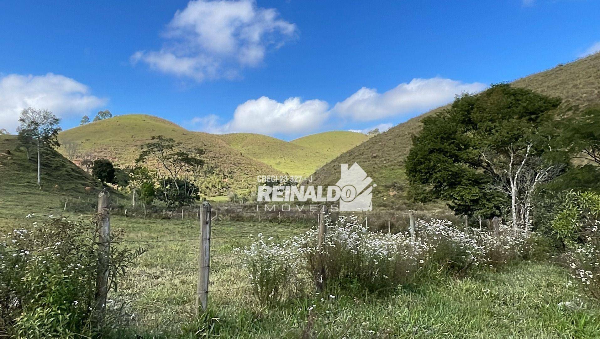 Fazenda à venda com 8 quartos, 900m² - Foto 36