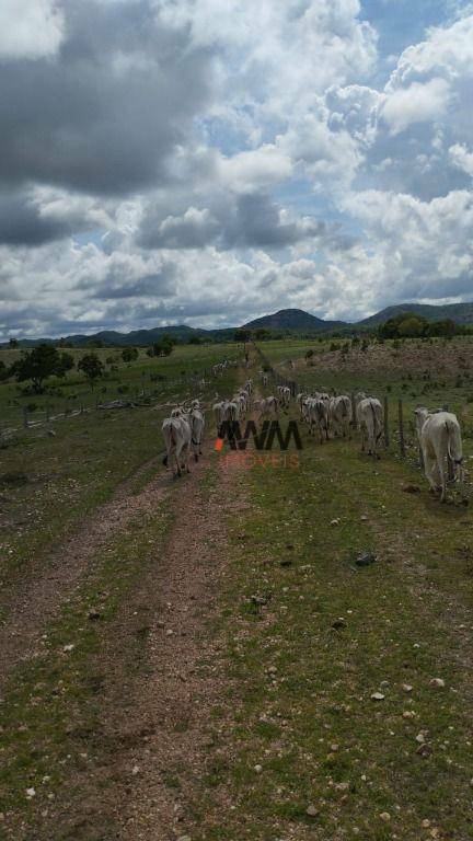 Fazenda à venda, 16552800M2 - Foto 13