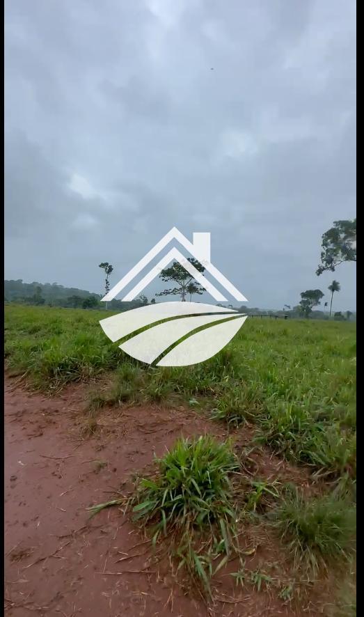 Fazenda à venda, 1m² - Foto 2