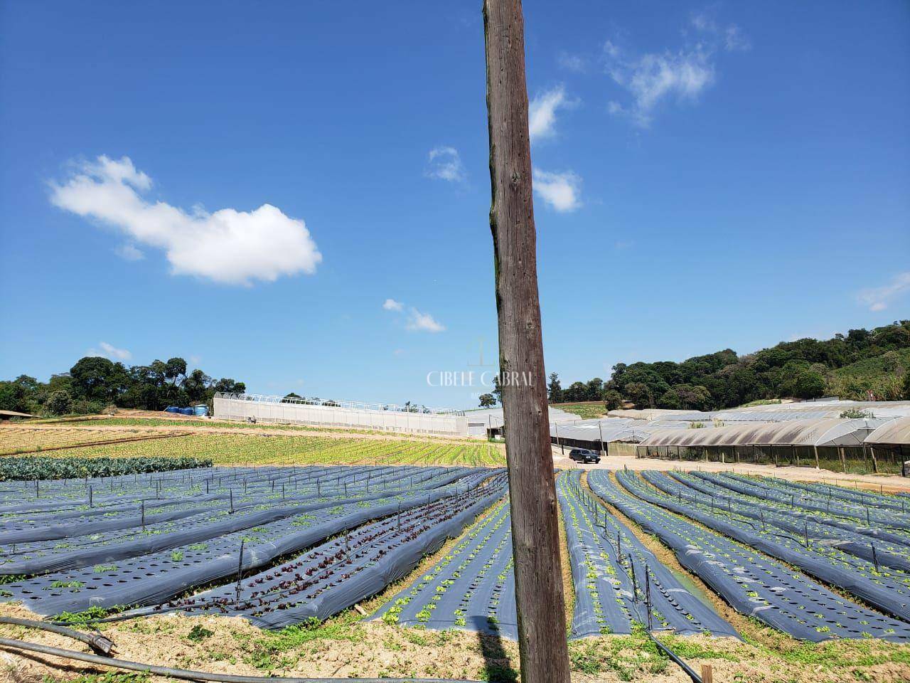 Terreno à venda, 84000M2 - Foto 15