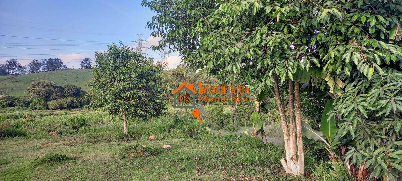 Terreno à venda, 54000M2 - Foto 6