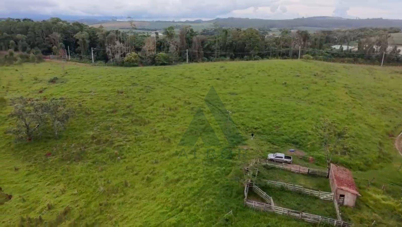 Sítio, 41 hectares - Foto 3