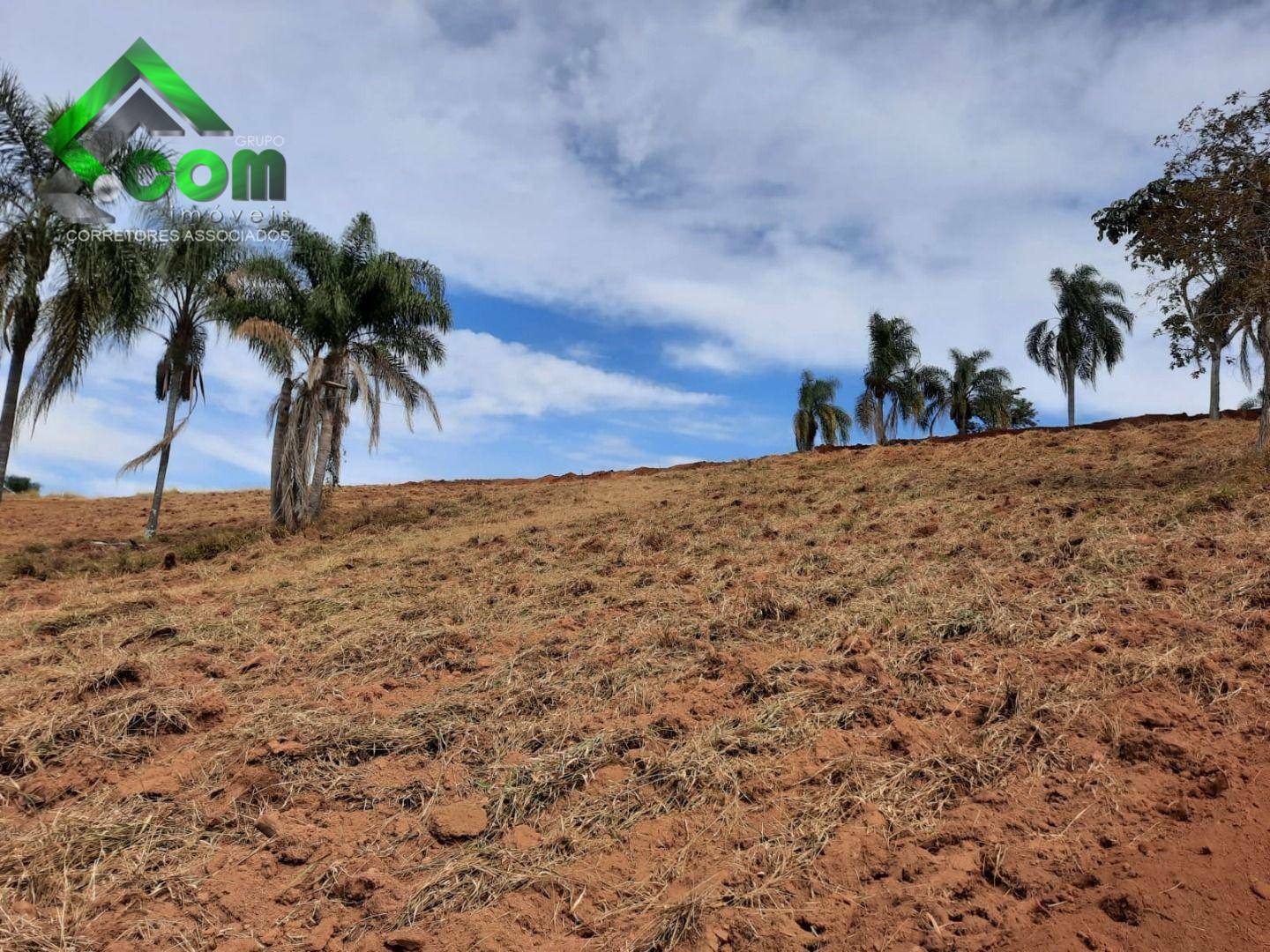 Terreno à venda, 20000M2 - Foto 16