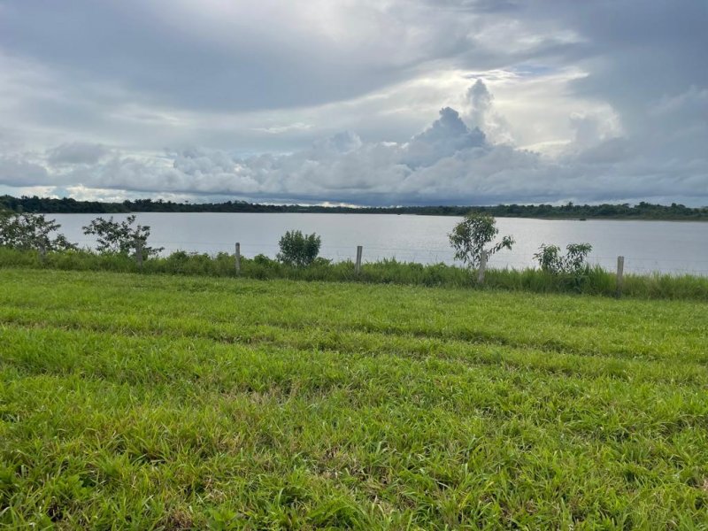 Fazenda à venda, 17125m² - Foto 13