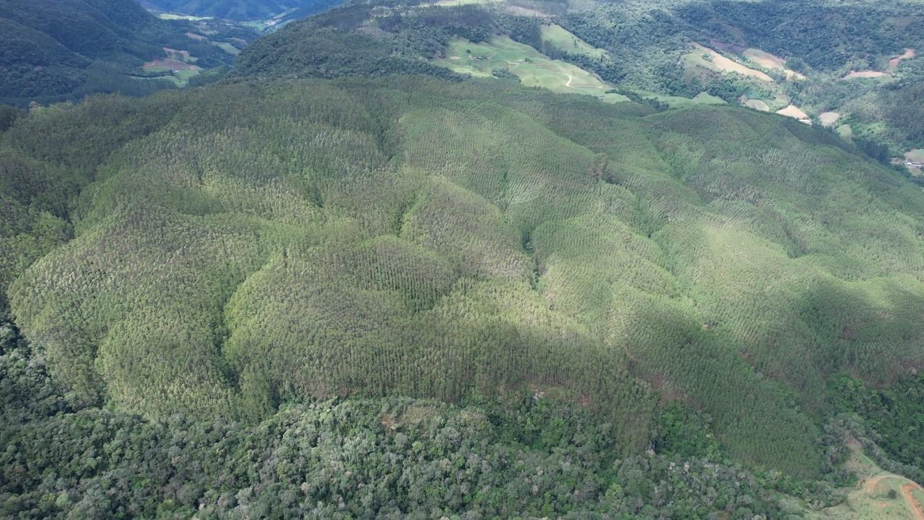 Fazenda à venda, 1564600m² - Foto 37