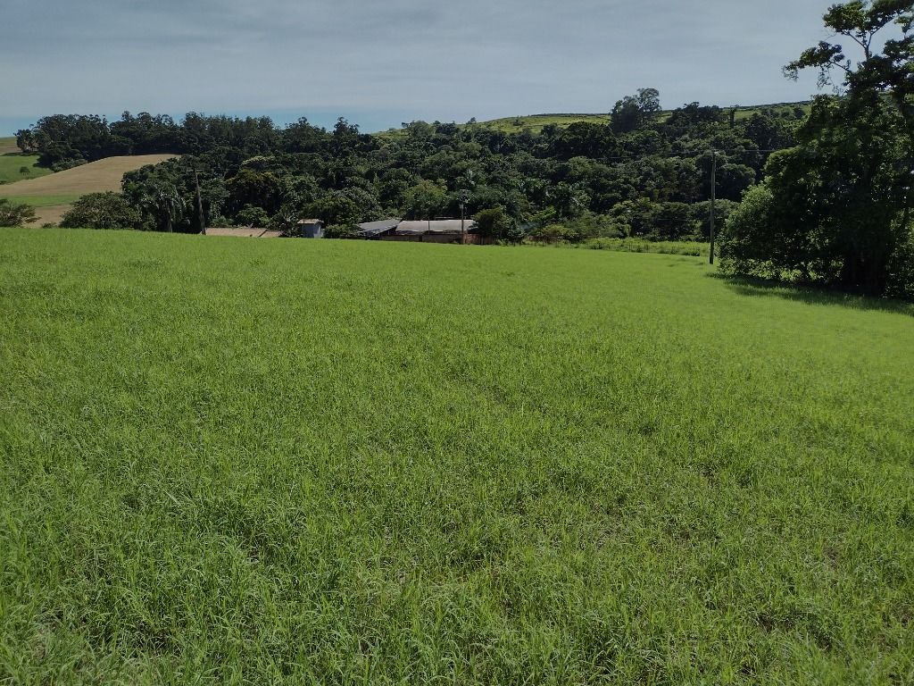 Fazenda-Sítio-Chácara, 7 hectares - Foto 2