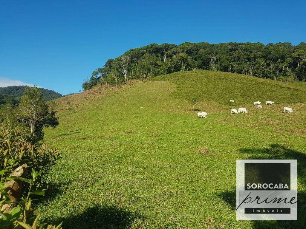 Fazenda à venda, 202000M2 - Foto 37