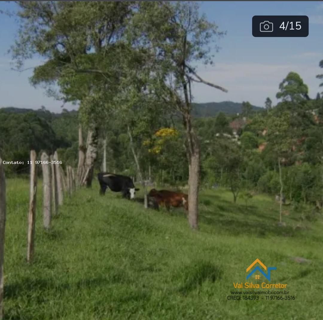 Terreno à venda, 10500m² - Foto 4