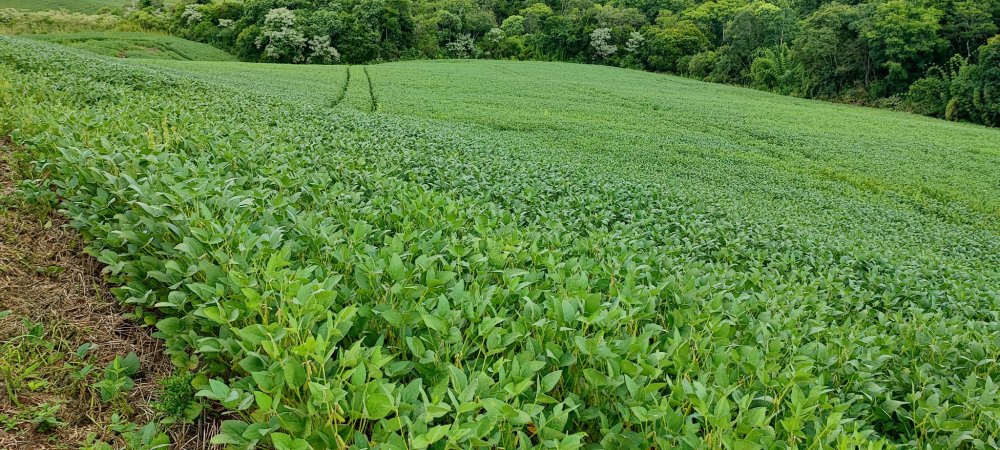 Fazenda à venda, 52m² - Foto 9