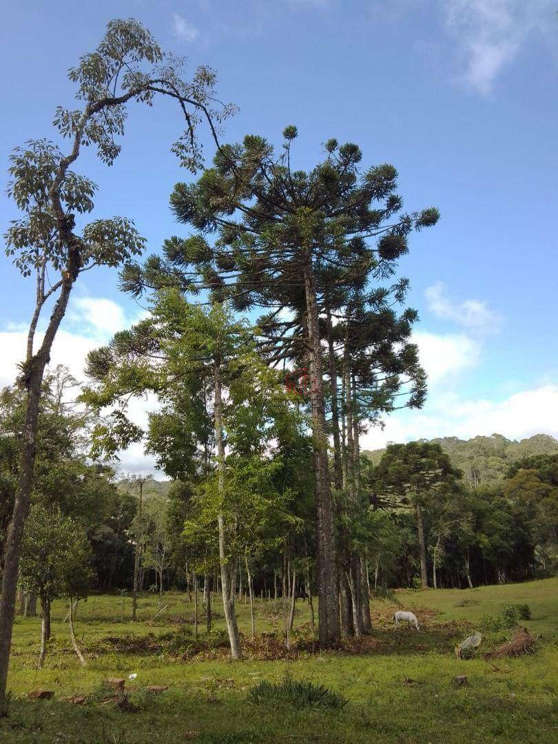 Terreno à venda, 612M2 - Foto 1