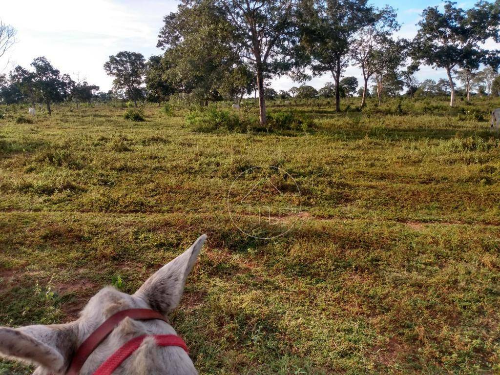 Fazenda à venda, 9873600M2 - Foto 6