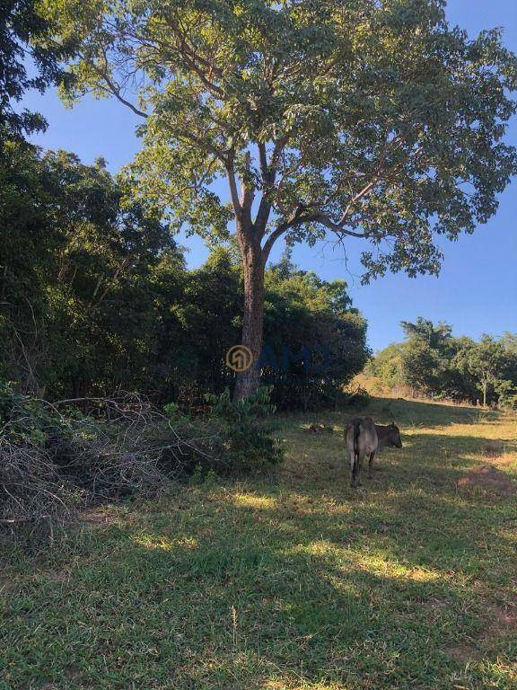 Fazenda à venda, 229899M2 - Foto 9