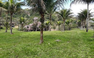 Fazenda à venda com 5 quartos, 150000m² - Foto 21