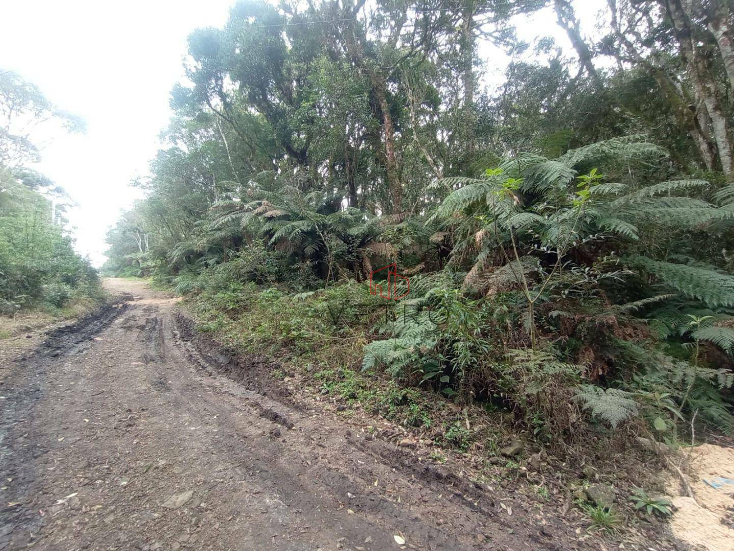 Loteamento e Condomínio à venda, 480M2 - Foto 3