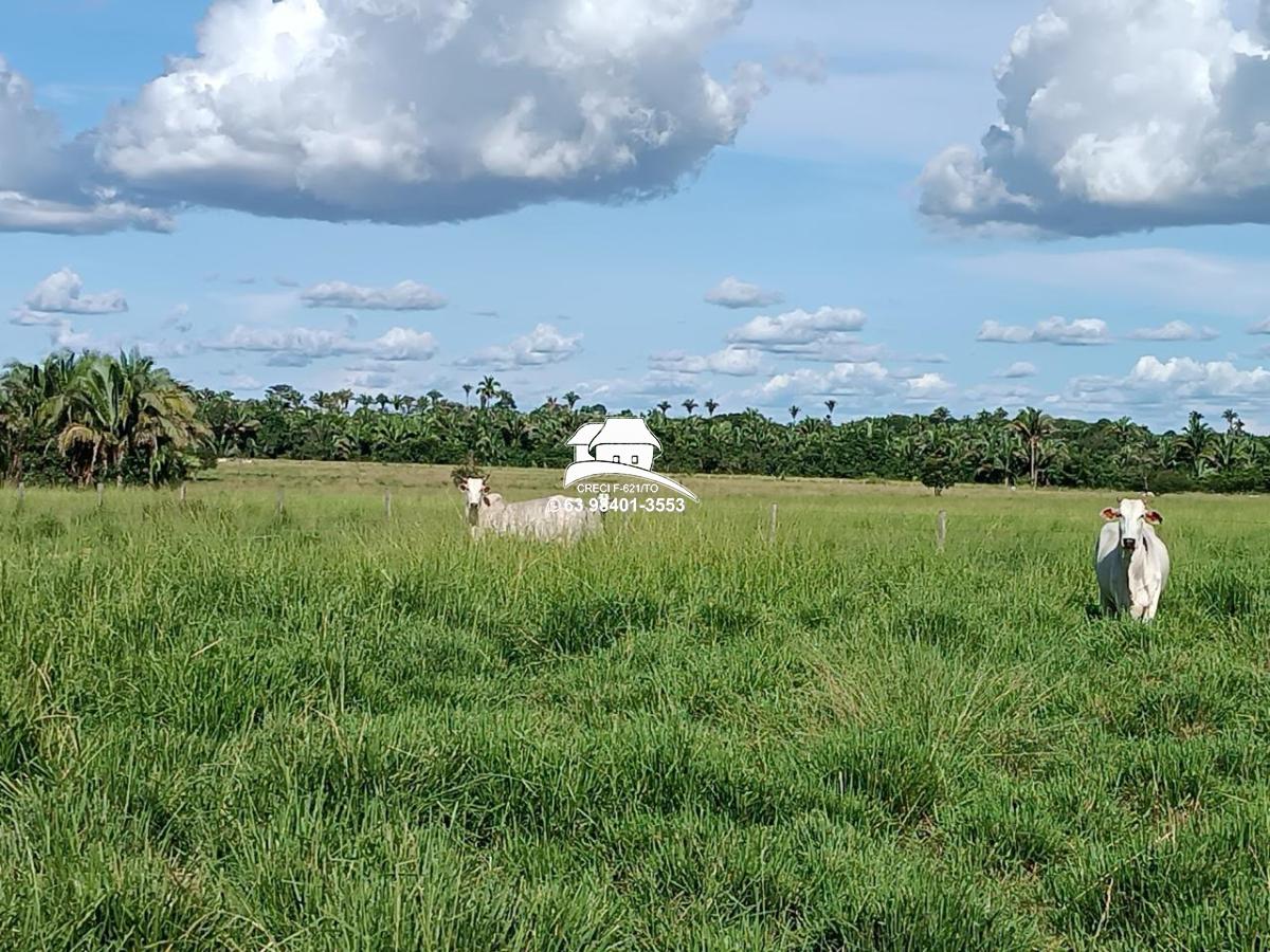 Fazenda-Sítio-Chácara, 143 hectares - Foto 4