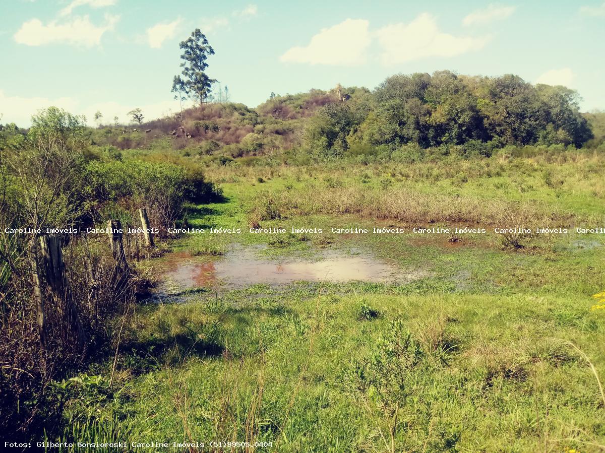 Loteamento e Condomínio à venda, 62500m² - Foto 10