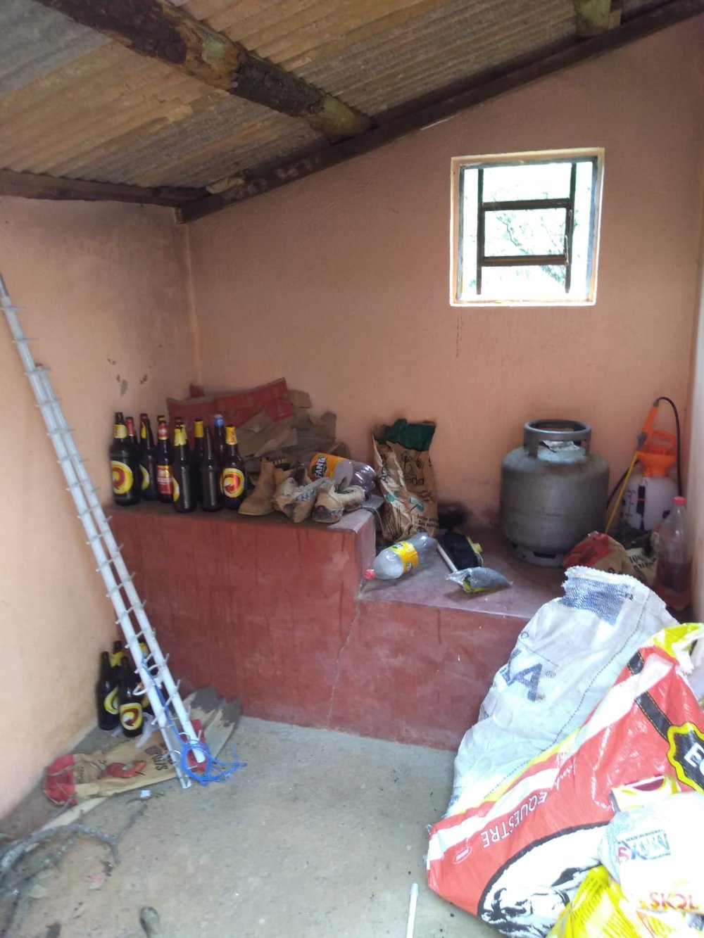 Sítio à venda com 3 quartos, 59m² - Foto 33