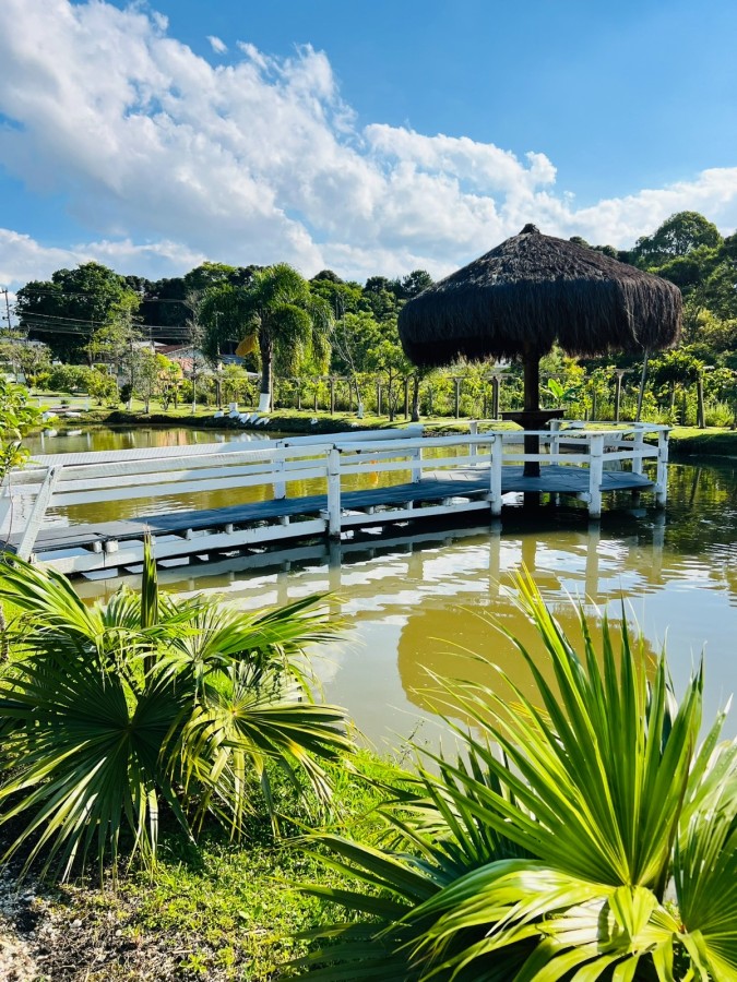 Chácara à venda, 8500m² - Foto 1