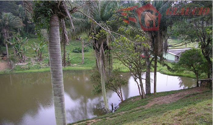 Sítio à venda com 4 quartos, 75661m² - Foto 20