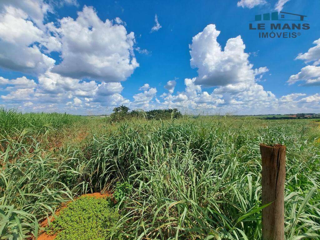 Terreno à venda, 6000M2 - Foto 2