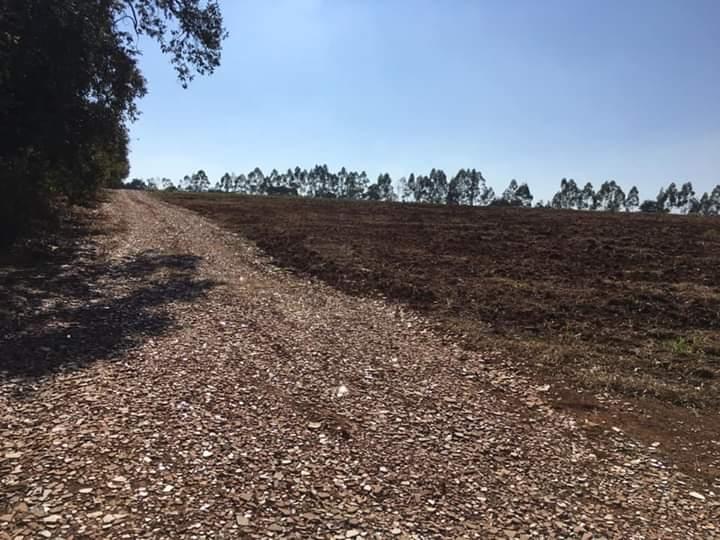 Fazenda à venda com 2 quartos - Foto 6