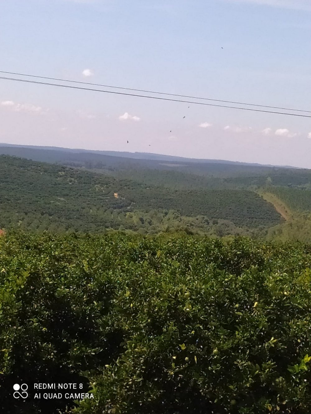 Fazenda à venda, 120m² - Foto 6