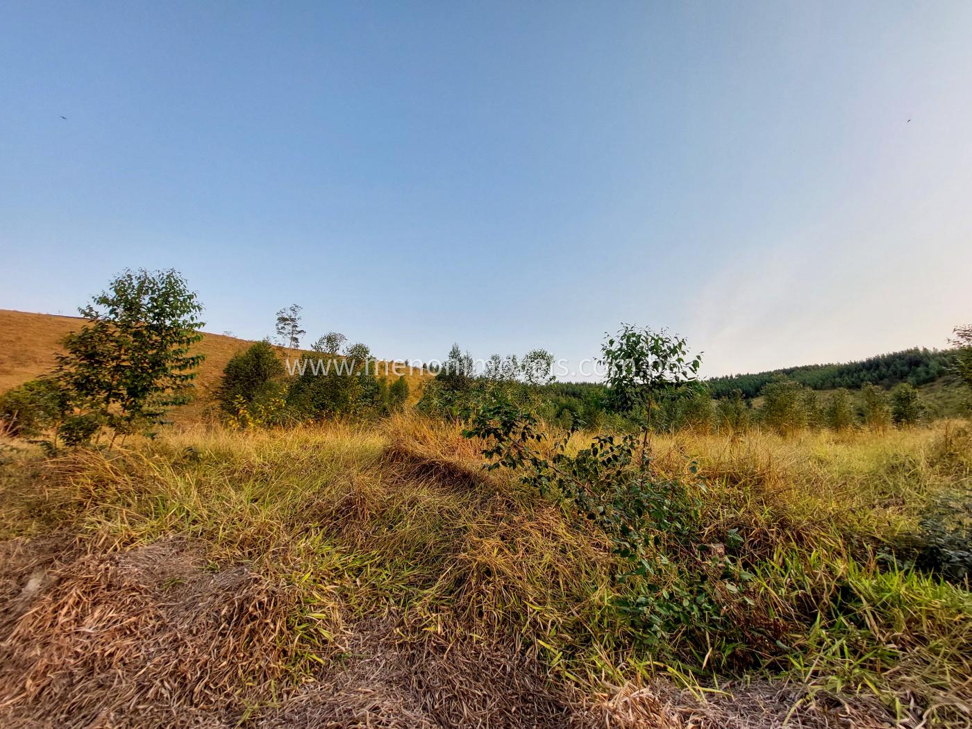 Sítio, 12 m² - Foto 4