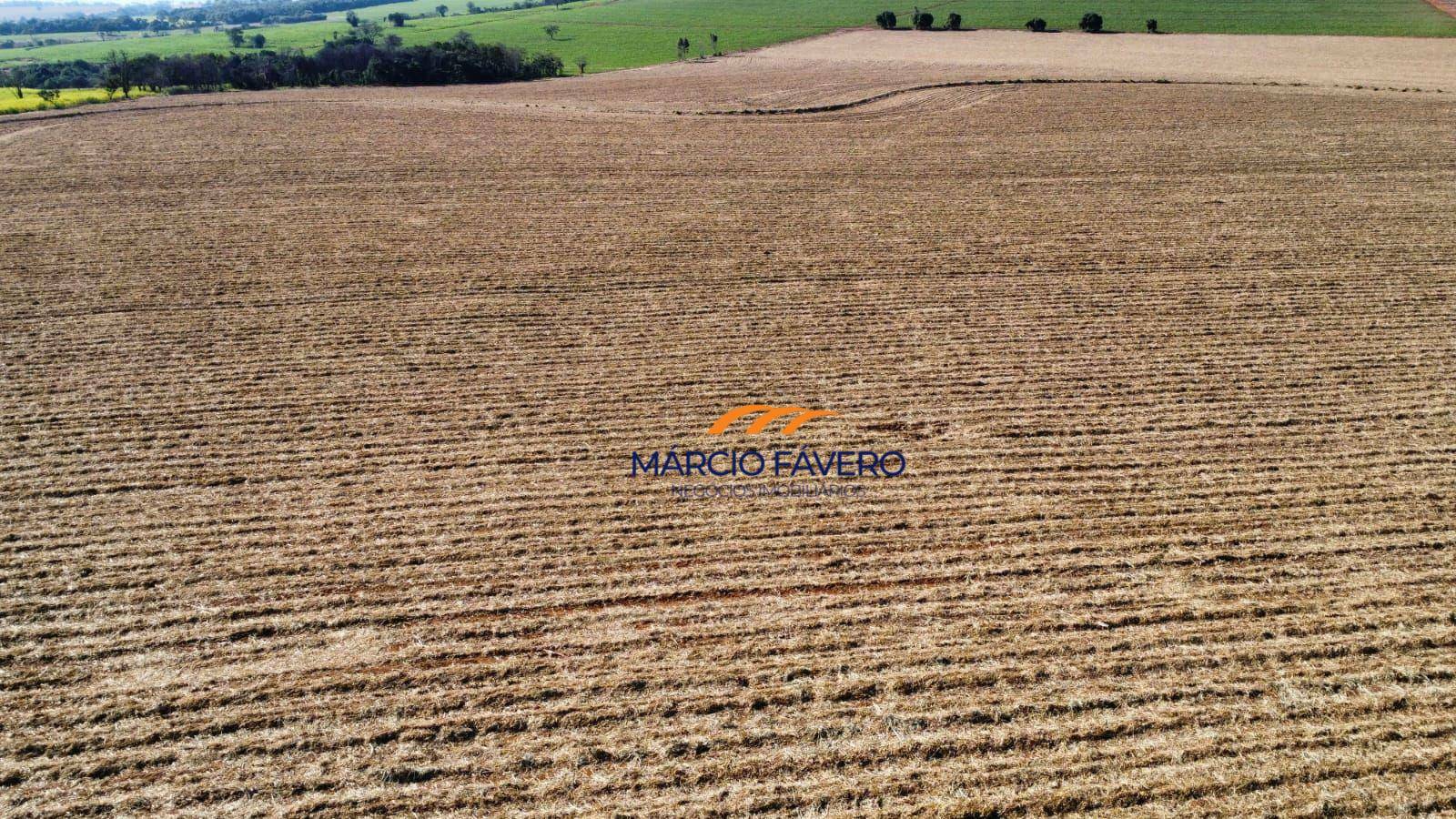 Fazenda, 78 hectares - Foto 2