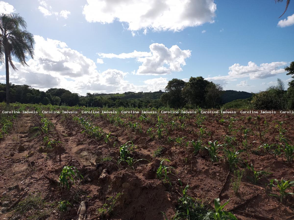 Fazenda à venda, 250000m² - Foto 22