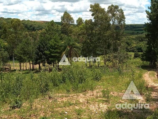 Fazenda-Sítio-Chácara, 2 hectares - Foto 2