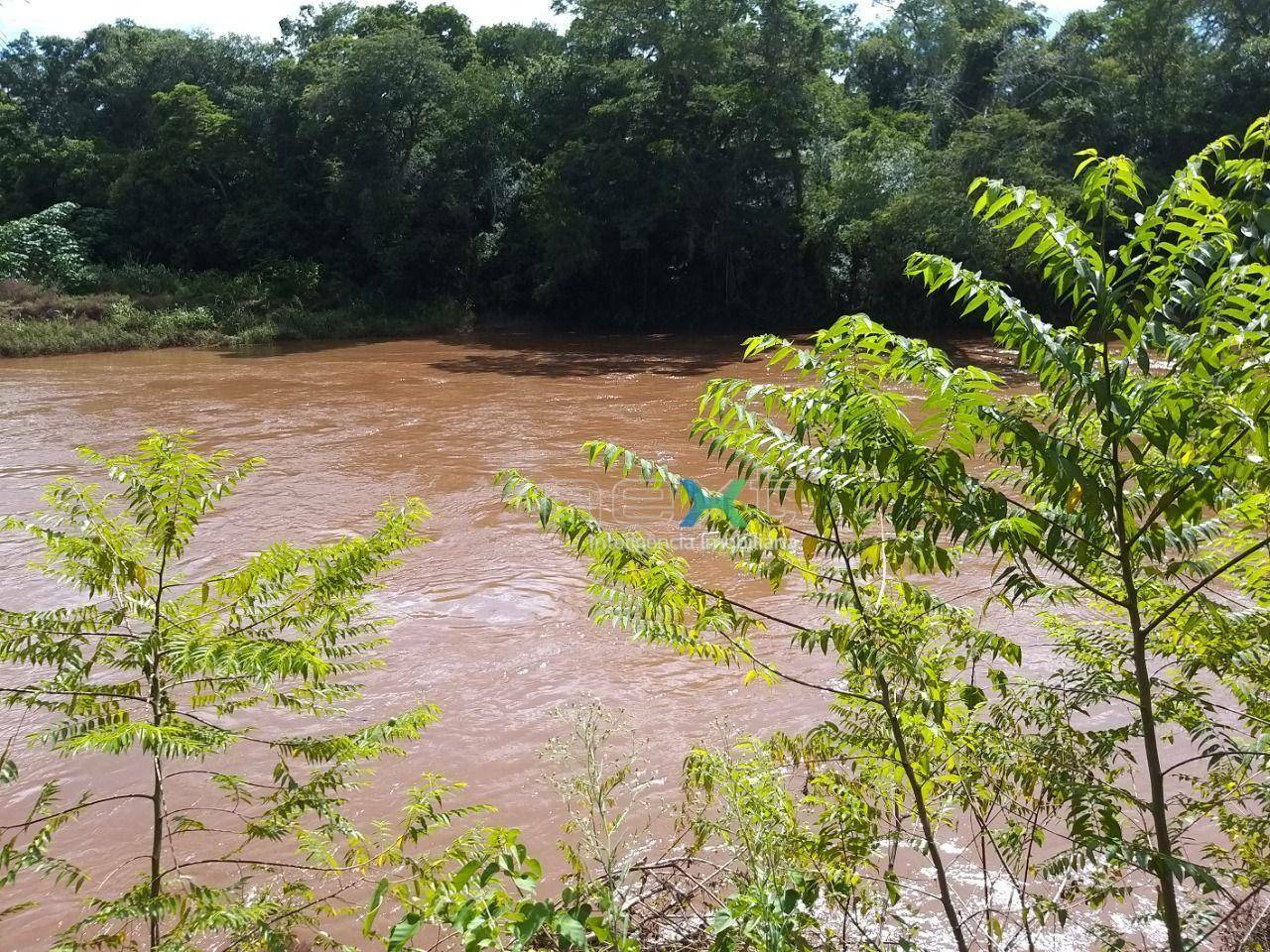 Fazenda à venda com 4 quartos, 430000M2 - Foto 15