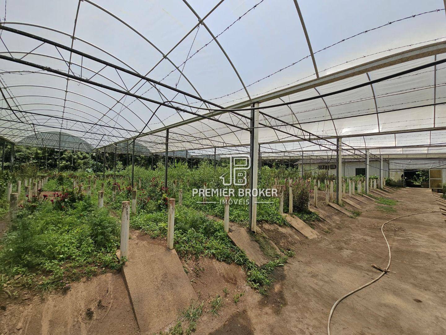 Sítio à venda com 5 quartos, 2500m² - Foto 3