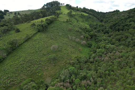 Terreno à venda, 75000M2 - Foto 13