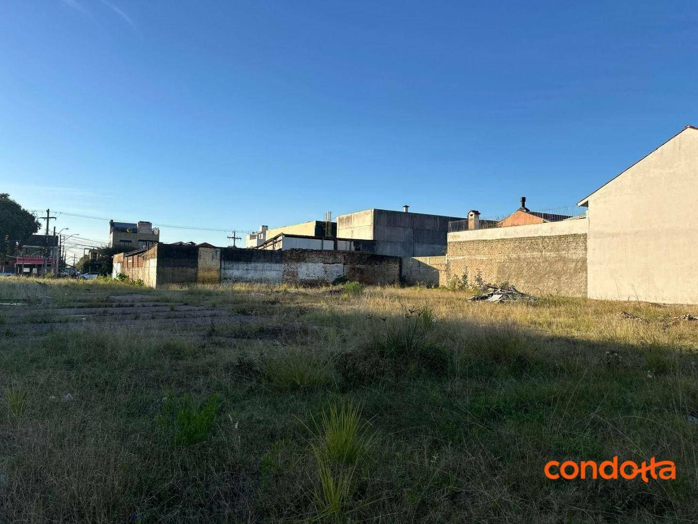 Terreno para alugar - Foto 3