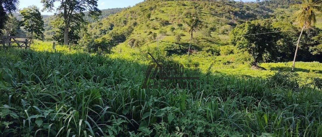 Fazenda à venda, 5469200M2 - Foto 84