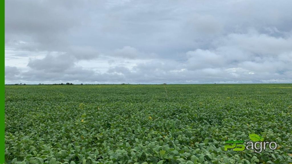 Fazenda à venda, 43530000M2 - Foto 8