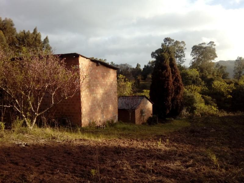 Sítio à venda com 1 quarto, 30000m² - Foto 6