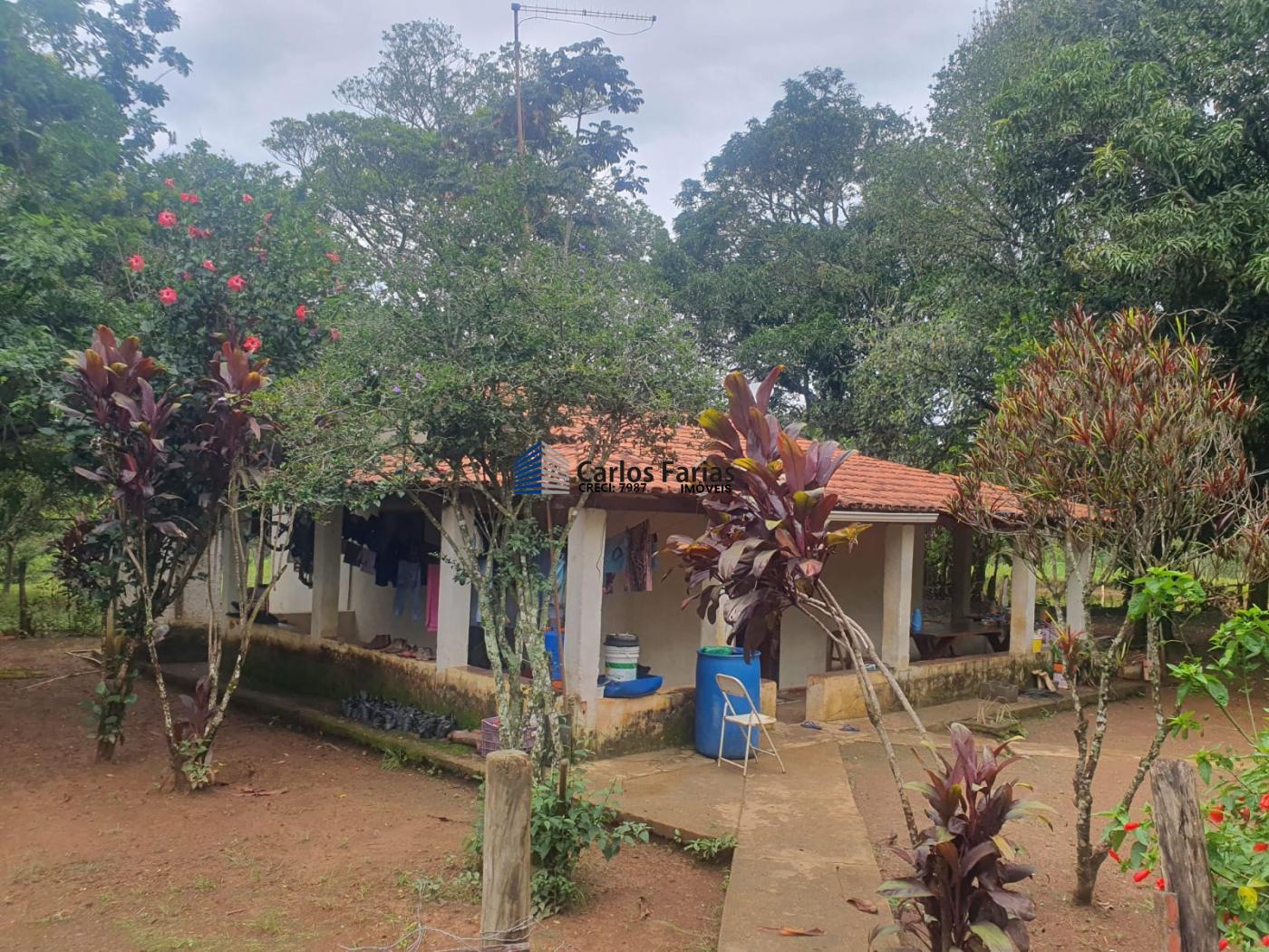 Fazenda à venda com 4 quartos, 300m² - Foto 21