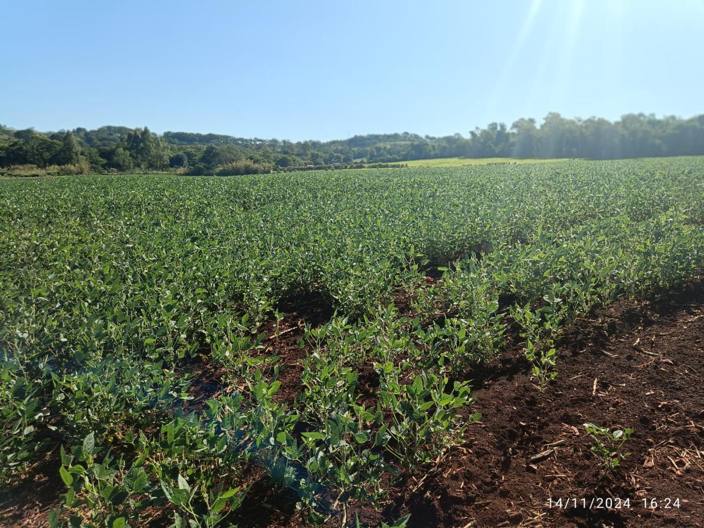 Fazenda à venda, 81160m² - Foto 15