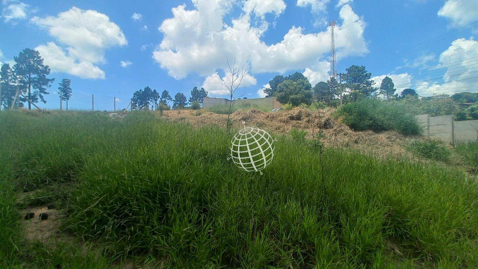 Terreno à venda, 728M2 - Foto 8