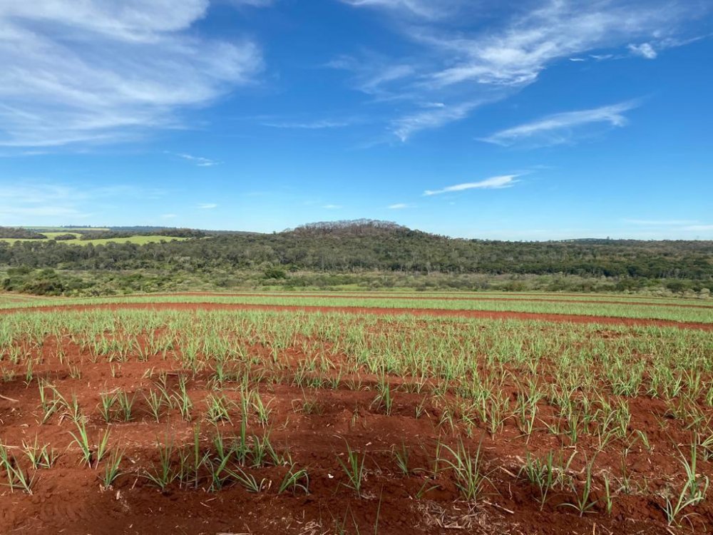 Fazenda à venda, 174m² - Foto 1