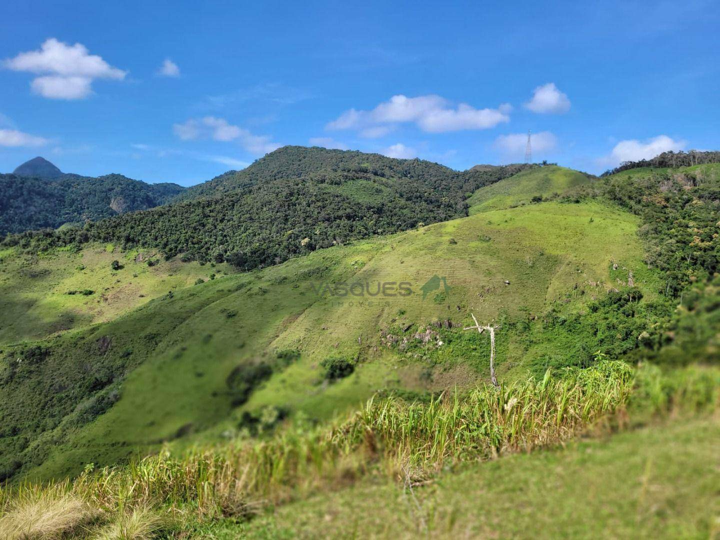 Fazenda à venda, 1292280M2 - Foto 9