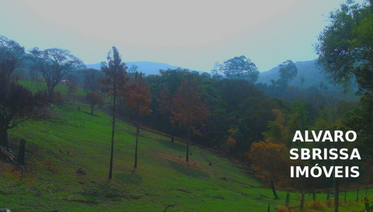 Sítio, 1 quarto, 14 hectares - Foto 22