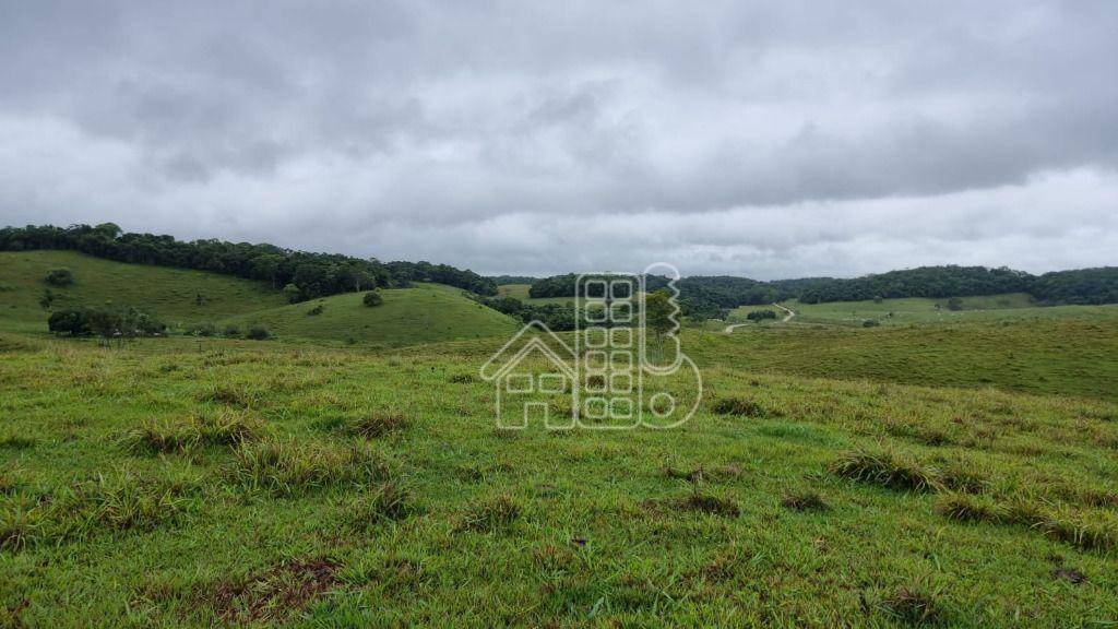 Fazenda-Sítio-Chácara, 329 hectares - Foto 3