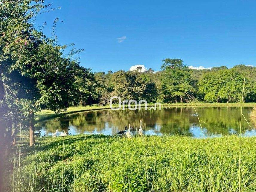 Chácara à venda com 5 quartos, 1540M2 - Foto 14