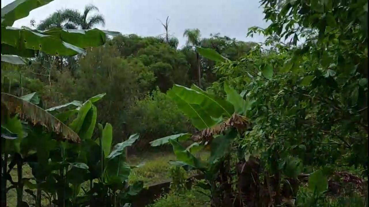 Casa de Condomínio à venda com 3 quartos, 1200m² - Foto 26