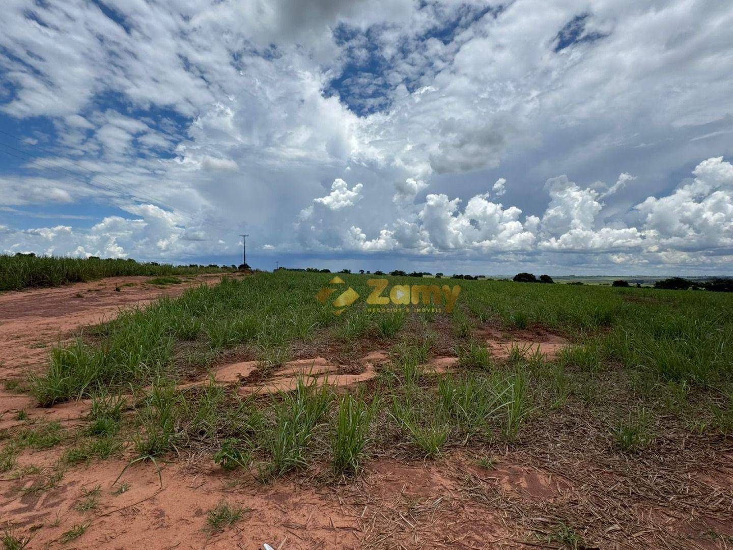 Sítio, 36 hectares - Foto 4