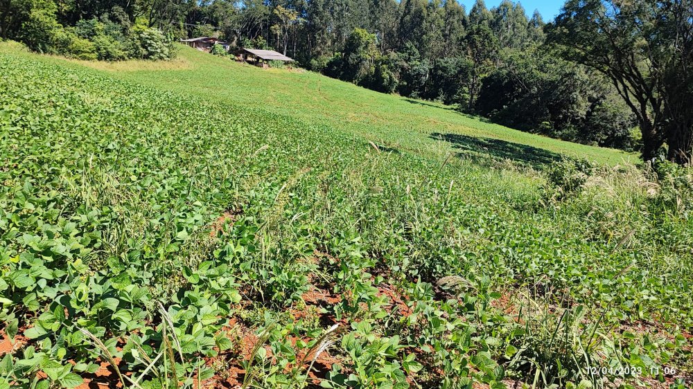 Fazenda à venda, 12m² - Foto 2