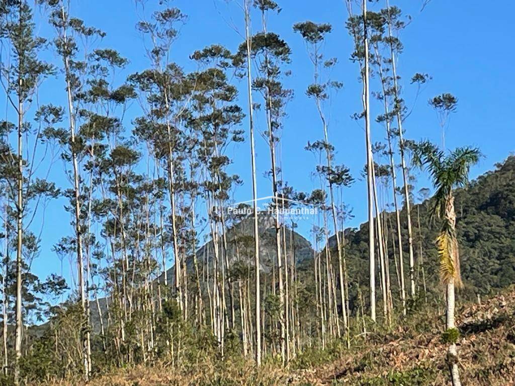 Terreno, 30 hectares - Foto 4